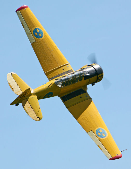 Blue Skies Björn… Foto: Gunnar Åkerberg