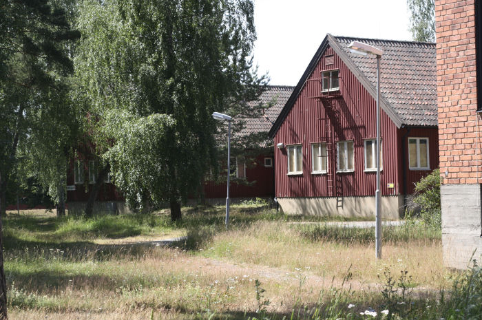 Skogsmässen. Foto: Hans Groby