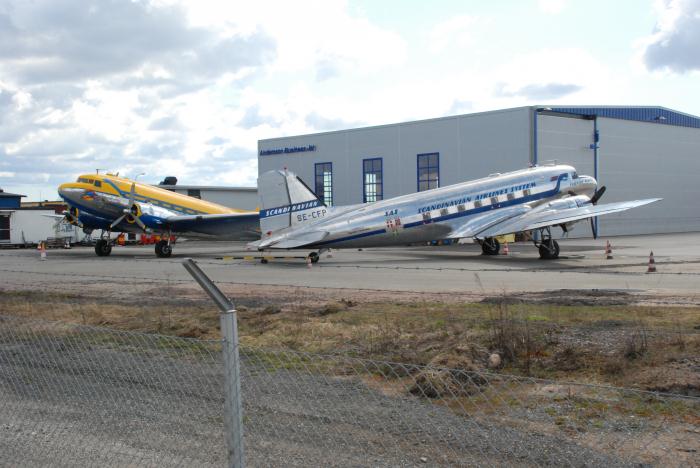 Lördag den 24 april 2010 sågs syskonen Daisy och Congo Queen tillsammans hos Flygande Veteraner på Bromma. Foto: Bengt Simson.