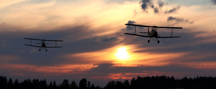 Omkring ett tiotal flygande Tiger Moth finns i Sverige i dag. Foto: Gunnar Åkerberg